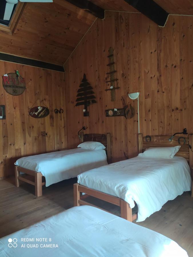 Le Saloon Hotel Chazey-sur-Ain Eksteriør billede